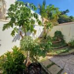 emerson ferreira028 7