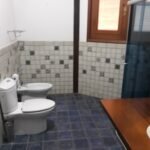 emerson ferreira030 3