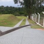 emerson ferreira032 1