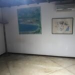 emerson ferreira035 2