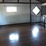 emerson ferreira043 1