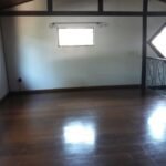 emerson ferreira044 1