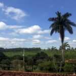 emerson ferreira050 2