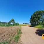 emerson ferreira2026 002