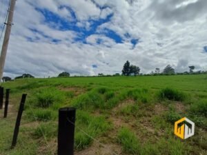 emerson ferreira2026 002 2