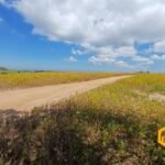 emerson ferreira2026 003 1