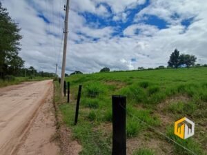 emerson ferreira2026 003 2