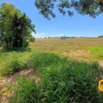 emerson ferreira2026 004 1