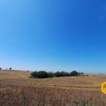 emerson ferreira2026 004