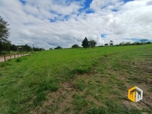 emerson ferreira2026 004 2