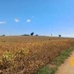 emerson ferreira2026 005