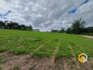 emerson ferreira2026 005 2