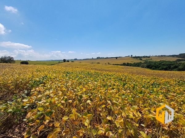 emerson ferreira2026 006 1