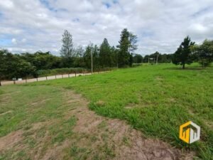 emerson ferreira2026 006 2