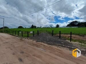 emerson ferreira2026 008 2