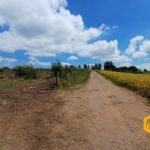 emerson ferreira2026 009 1