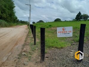 emerson ferreira2026 009 2