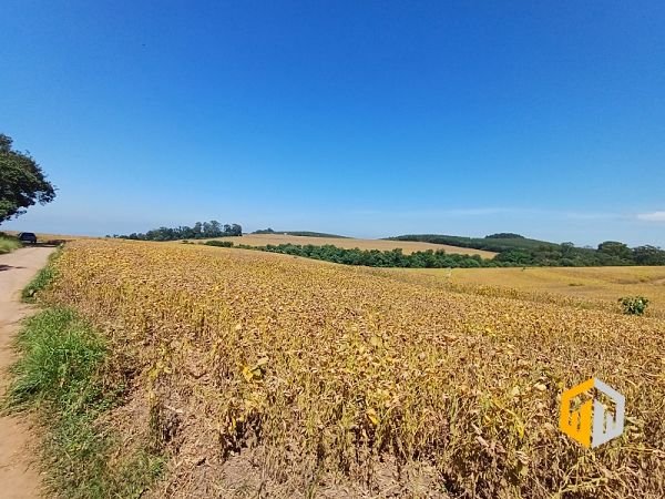 emerson ferreira2026 012