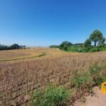 emerson ferreira2026 013