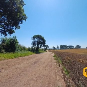 emerson-ferreira2026-003