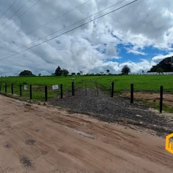 emerson-ferreira2026-008